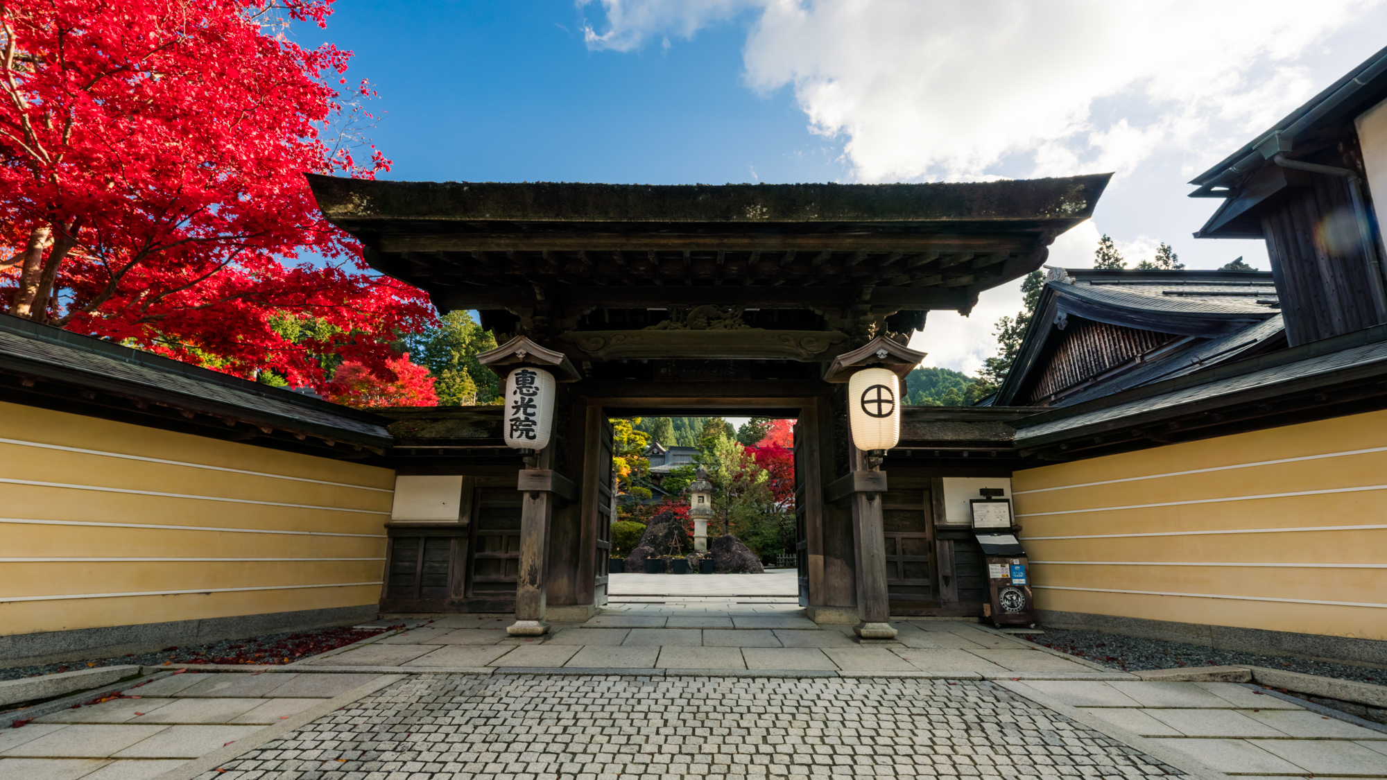 紅葉が美しい 恵光院山門の画像